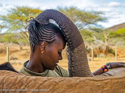 Karya Jawara Kontes Foto Satwa Liar Afrika Bikin Terkesima