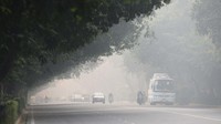endaraan melintas di jalan Bhagwan Dass pada pagi berkabut di New Delhi, India, Selasa, (1/11/2022). Kualitas udara di Delhi terus berada dalam kategori sangat buruk.