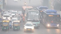 Level itu hampir 40 kali maksimum harian yang direkomendasikan oleh Organisasi Kesehatan Dunia (WHO). IQAir menilai tingkat polusi secara keseluruhan sebagai berbahaya.