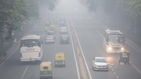 Level partikel paling berbahaya - PM2.5, sangat kecil sehingga dapat memasuki aliran darah - adalah 588 per meter kubik pada Kamis pagi waktu setempat, menurut perusahaan pemantau IQAir.