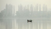 Seorang pria mendayung perahu di perairan Danau Dal di tengah kondisi berkabut di Srinagar. Pembakaran areal sawah setelah panen di Punjab dan negara-negara bagian lain terus terjadi setiap tahun, meskipun ada upaya untuk membujuk petani agar menggunakan metode yang berbeda.