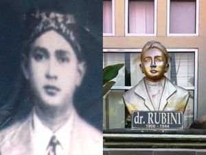 Profil dr Rubini Natawisastra, Dokter yang Akan Bergelar Pahlawan Nasional