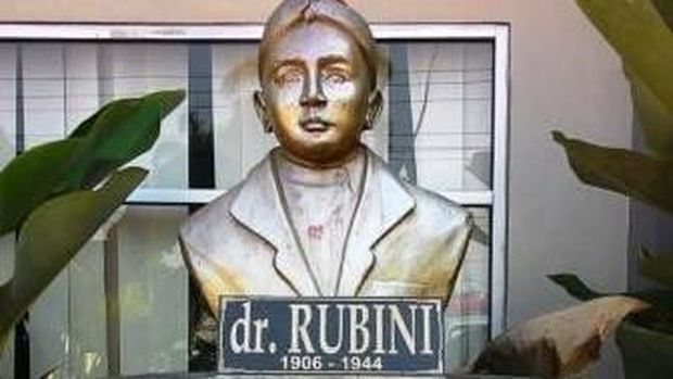 Profil dr Rubini Natawisastra, Bergelar Pahlawan Nasional di 2022