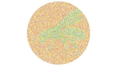 Tes Buta Warna Super Mudah! Tak Bisa Tebak, Harus Segera Cek ke Dokter