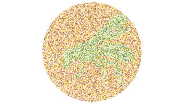 Tes Buta Warna Super Mudah! Tak Bisa Tebak, Harus Segera Cek ke Dokter