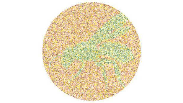 Tes Buta Warna Super Mudah! Tak Bisa Tebak, Harus Segera Cek ke Dokter Tes Buta Warna Super Mudah! Tak Bisa Tebak, Harus Segera Cek ke Dokter