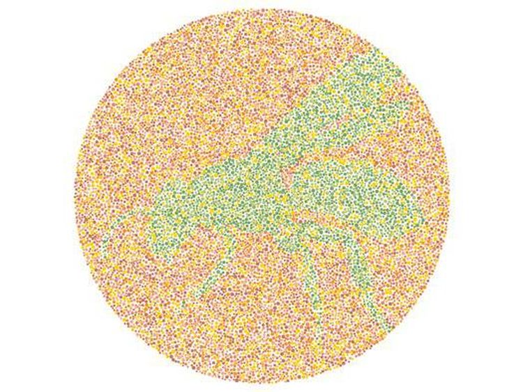 Tes Buta Warna Super Mudah! Tak Bisa Tebak, Harus Segera Cek ke Dokter