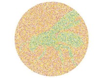 10 Tes Buta Warna Huruf dan Hewan, Seberapa Cepat Kamu Bisa Temukan Semuanya?