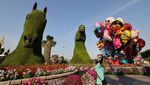 Wih..Ada Pesawat di Taman Bunga Dubai, Lihat Nih