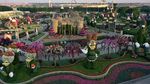 Wih..Ada Pesawat di Taman Bunga Dubai, Lihat Nih