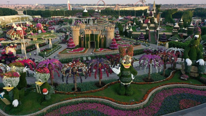 Wih..Ada Pesawat di Taman Bunga Dubai, Lihat Nih Dubai Miracle Garden merupakan taman bunga terbesar di dunia. Hampir semua unsur yang ada di taman ini terbuat dari bunga, salah satunya yaitu pesawat.
