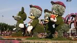 Wih..Ada Pesawat di Taman Bunga Dubai, Lihat Nih