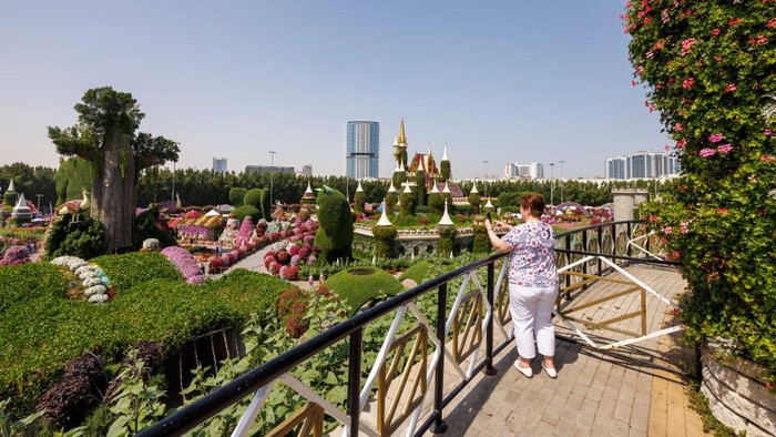 Dubai Miracle Garden merupakan taman bunga terbesar di dunia. Hampir semua unsur yang ada di taman ini terbuat dari bunga, salah satunya yaitu pesawat.
