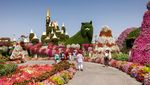 Wih..Ada Pesawat di Taman Bunga Dubai, Lihat Nih