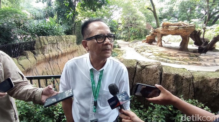Anggota Dewan Pembina Yayasan Margasatwa Tamansari I Gede Pantja Astawa