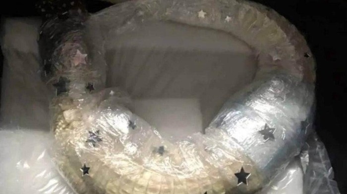 Buaya Albino Diselendupkan Turis