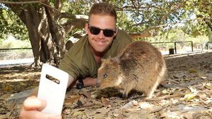 Bukan Koala, Ini Hewan yang jadi Buruan Swafoto Wisatawan di Australia