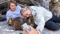 Para turis yang berkunjung ke Rottnest Island pasti selalu berburu selfie dengan kuoka. Pada saat selfie, para turis tidak diperbolehkan menyentuh dan memegang kuoka. (Will Russell/Getty Images)