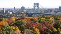 Dedaunan musim gugur di pepohonan di Fort Lee, New Jersey, dekat Jembatan George Washington. AP/Ted Shaffrey