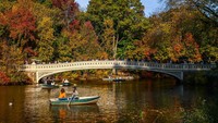 Pemandangan Jembatan Busur dan Danau saat musim gugur di Central Park di New York, Amerika Serikat. Beata Zawrzel/NurPhoto/Getty Images