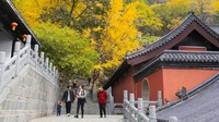 Pengunjung menikmati musim gugur di Gunung Huaguo di kota Lianyungang, provinsi Jiangsu, China. CFOTO/Future Publishing/Getty Images