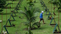 Kendati demikian, di banyak negara di dunia sabung ayam sebenarnya merupakan kegiatan yang dilarang.