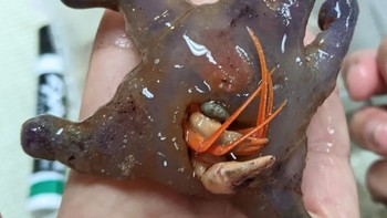 Bentuknya benar-benar unik. Foto: Instagram/@ingo.burghardt