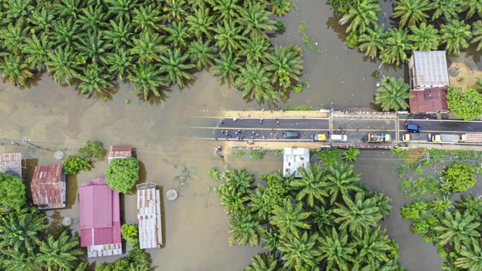 JALAN LINTAS ACEH SELATAN-MEDAN TERPUTUS AKIBAT BANJIR Foto udara suasana kemacetan akibat banjir di Jalan lintas Tapaktuan, Aceh Selatan-Medan, Sumatera Utara di Desa Ladang Rimba, Trumon Tengah, Aceh Selatan, Aceh, Jumat (4/11/2022). Banjir setinggi satu meter tersebut menyebabkan transportasi darat lumpuh. ANTARA FOTO/Istafan Najmi/Lmo/wsj.