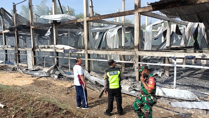 kandang ayam terbakar di ponorogo