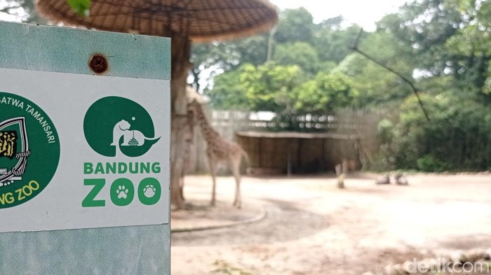 Kebun Binatang Bandung.