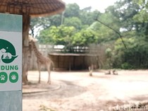 Pemkot Ajukan Banding Usai Kalah Gugatan Penyegelan Bunbin Bandung