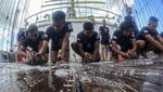 Mengasah Naluri Sang Penakluk Ombak dan Badai