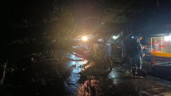 Pohon tumbang di Ciomas Bogor