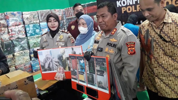 Satreskrim Polres Bogor menangkap dua pria yang memperjuabelikan satwa dilindungi Owa Jawa