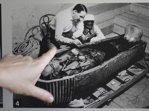 Jamur Makam Firaun Bisa Lawan Kanker, Kata Peneliti