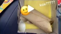 Tak paham konsep nasi bungkus, tuan rumah acara syukuran ini lakukan hal yang aneh. Nasi bungkus yang dibagikan untuk tamunya masih dikemas lagi dengan kardus kotak yang merepotkan. Foto: 1cak.com