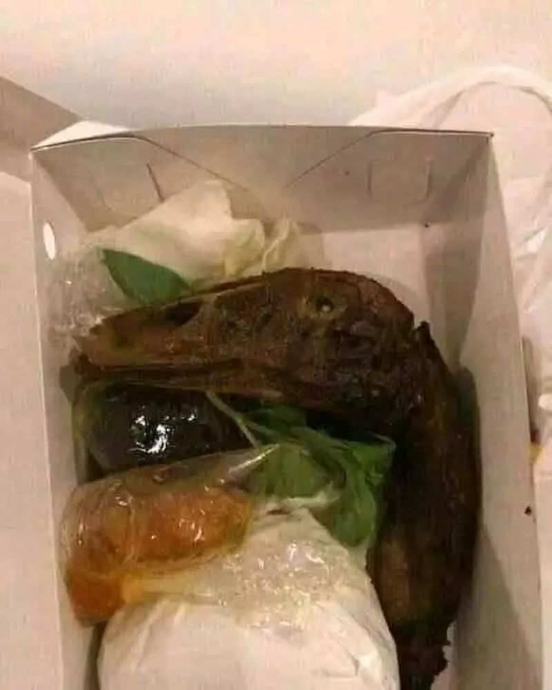 10 Nasi Kotak dengan Isian Nyeleneh Bikin Netizen Gagal Fokus