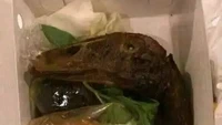 Diundang ke sebuah acara syukuran, netizen ini mendapatkan nasi kotak yang tak terduga. Ada bagian kepala bebek goreng utuh dalam nasi berkat yang diterimanya. Foto: 1cak.com