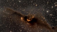 Cosmic Bat NebulaLDN 43 alias Cosmic Bat Nebula, memiliki kemiripan yang menakjubkan dengan kelelawar kosmik besar yang terbang di antara bintang-bintang pada malam Halloween yang gelap. Terletak sekitar 1400 tahun cahaya di konstelasi Ophiuchus, awan molekuler ini cukup padat untuk menghalangi cahaya tidak hanya dari bintang latar belakang, tetapi juga dari gumpalan gas yang diterangi oleh refleksi nebula terdekat LBN 7. Filamen gas dan debu sepanjang 12 tahun cahaya ini sebenarnya adalah pembibitan bintang. Bersinar dengan cahaya yang menakutkan, kelelawar diterangi dari dalam oleh simpul gas padat yang baru saja membentuk bintang muda. (Foto: Mark Hanson and Mike Selby; Text: Michelle Thaller (NASAs GSFC))