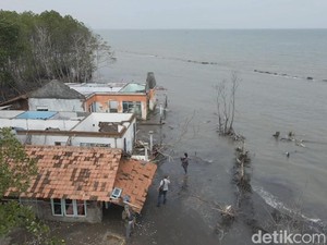 Kota Pekalongan Diprediksi Tenggelam di 2035