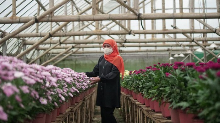 Gubernur Khofifah Ajak Masyarakat Peduli Hari Cinta Puspa dan Satwa Nasional