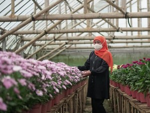 Beda Suara Koalisi Saat Nama Khofifah Masuk Bursa Cawapres Anies