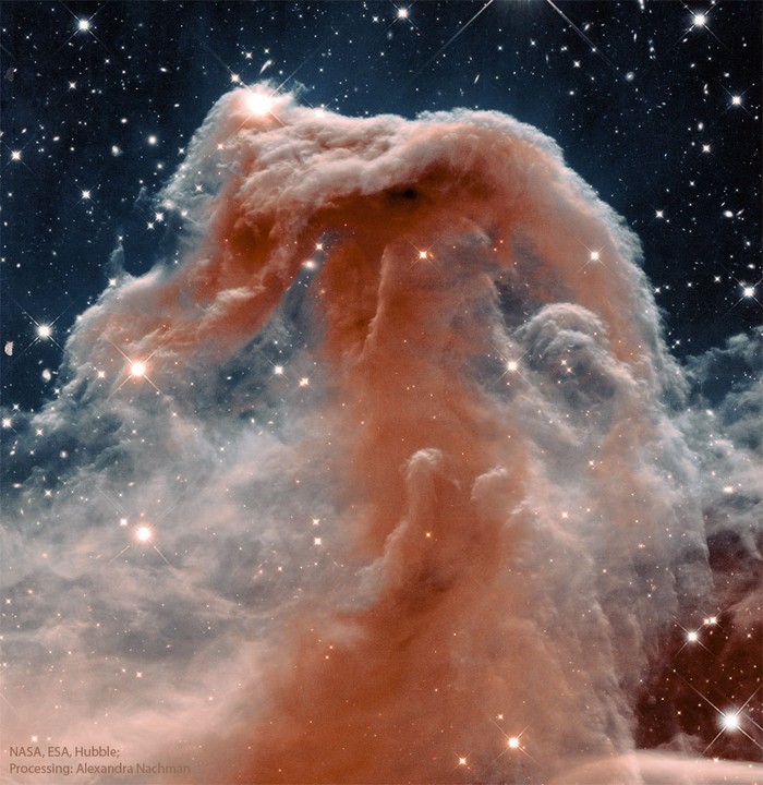 Horsehead Nebula Horsehead Nebula