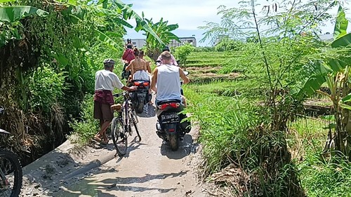 Jalur di pematang sawah kawasan Canggu yang berbatasan dengan Umalas, Desa Kerobokan, Kecamatan Kuta Utara, Kabupaten Badung, Bali digunakan oleh para pengendara motor baik lokal maupun asing. Foto: Triwidiyanti
