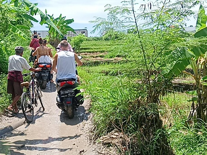 Jalur di pematang sawah kawasan Canggu yang berbatasan dengan Umalas, Desa Kerobokan, Kecamatan Kuta Utara, Kabupaten Badung, Bali digunakan oleh para pengendara motor baik lokal maupun asing. Foto: Triwidiyanti
