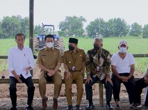 Petani Tebu Minta Harga Dasar Gula Naik, Jokowi Mau Panggil Menteri