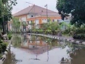 Kompleks DPR Kalibata Tergenang, Banyak Pohon Tumbang