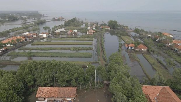 Kondisi Wonokerto, Kabupaten Pekalongan saat banjir rob. Foto diambil Januari 2022.