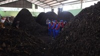 Tampak tumpukan sampah organik yang telah menjadi kompos.