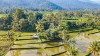 Desa yang terletak di Kecamatan Sawan, Kabupaten Buleleng, ini tengah menjadi sorotan setelah Juara II Desa Wisata Maju dalam Anugerah Desa Wisata Indonesia (ADWI) 2022. Foto: Istimewa